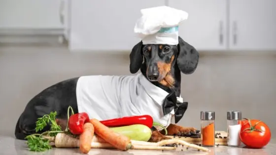 Menneskemat hunder kan (og ikke kan) spise