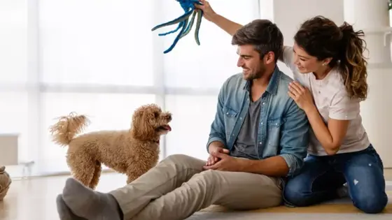 7 enkle triks enhver valp kan lære