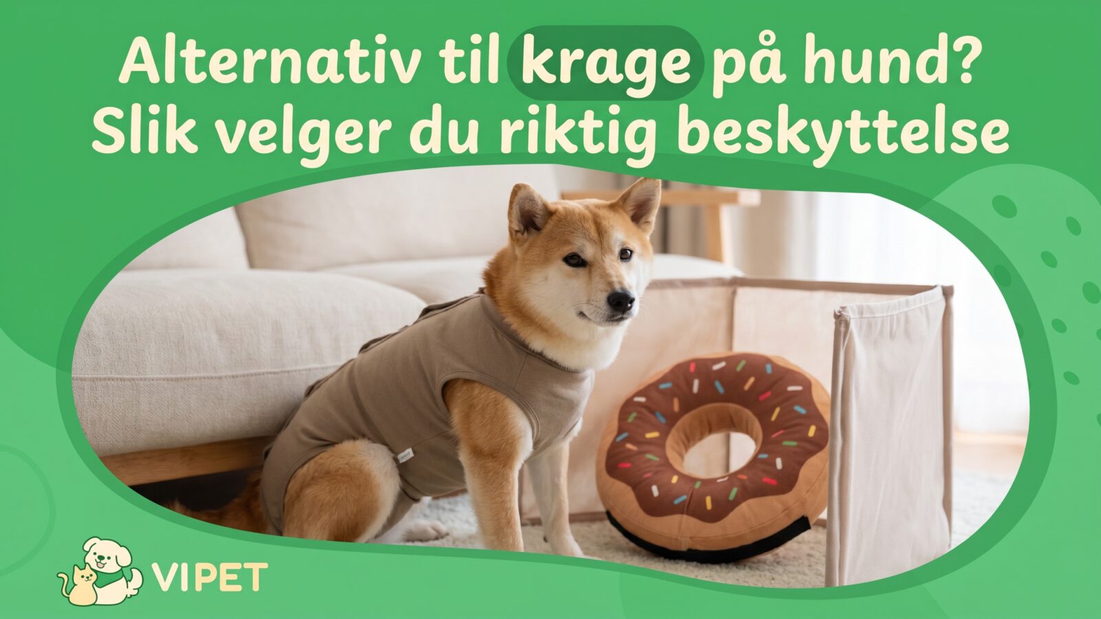 Alternativ til krage på hund – recovery body og oppblåsbar krage som beskyttelse etter operasjon