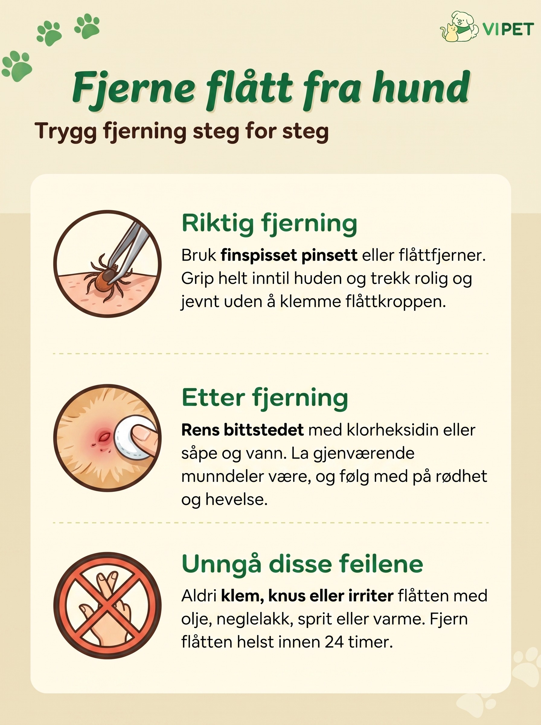 Infografikk om trygg fjerning av flått fra hund: riktig teknikk, stell etterpå og vanlige feil du bør unngå