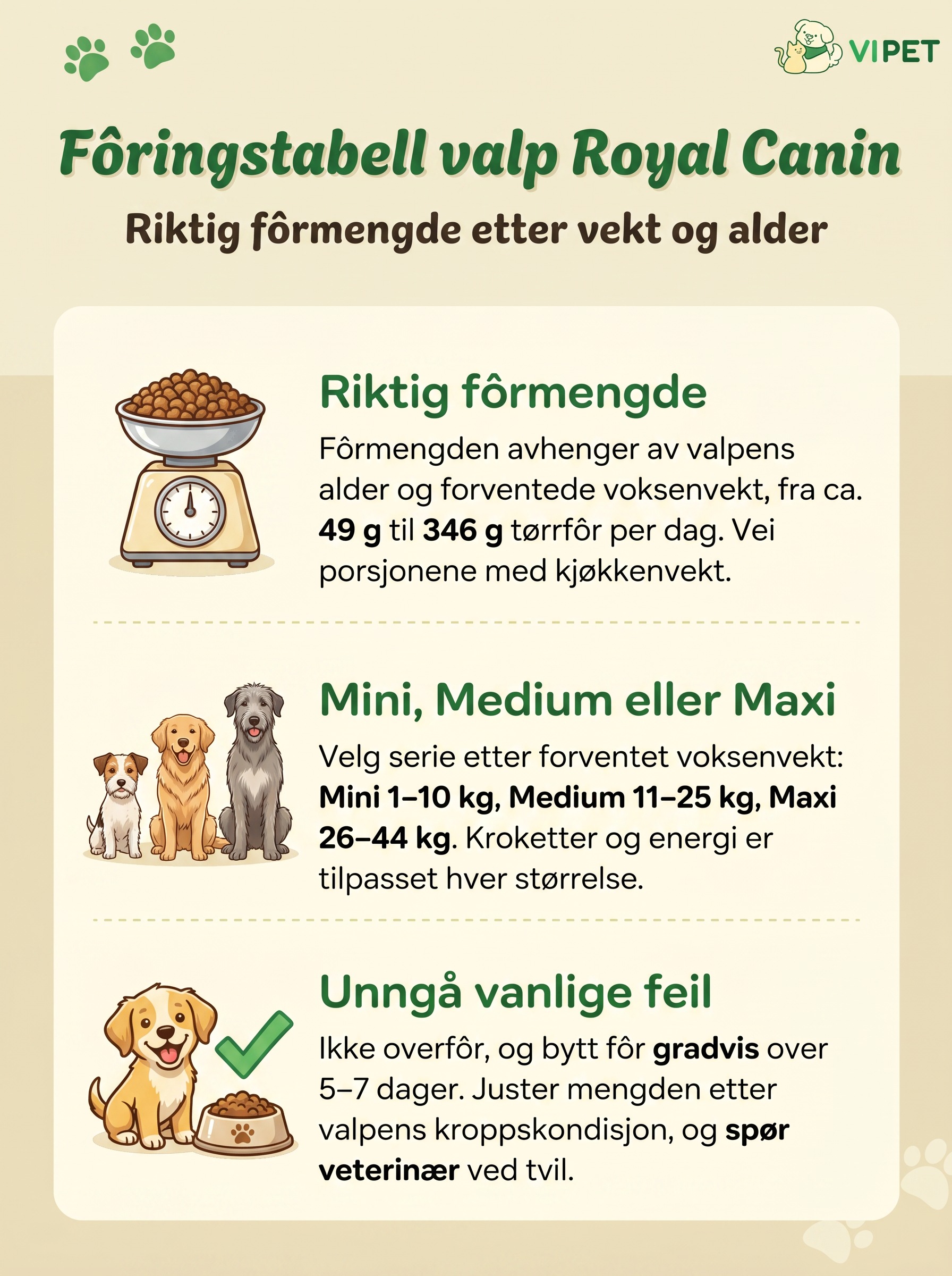 Infografikk om fôringstabell for valp fra Royal Canin med fôrmengde, valg av serie og vanlige feil