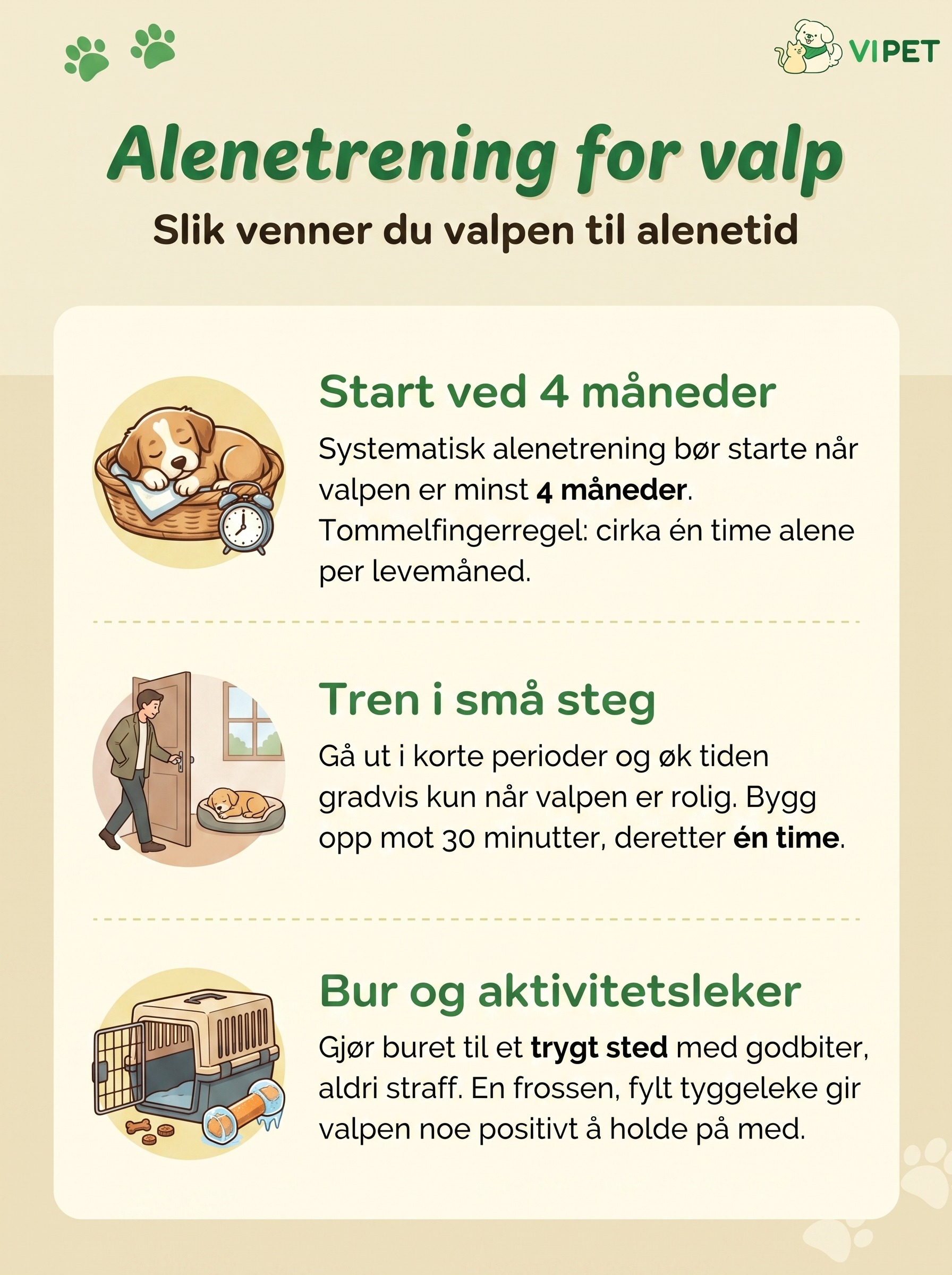 Infografikk med tre trinn for å trene valpen til å være hjemme alene