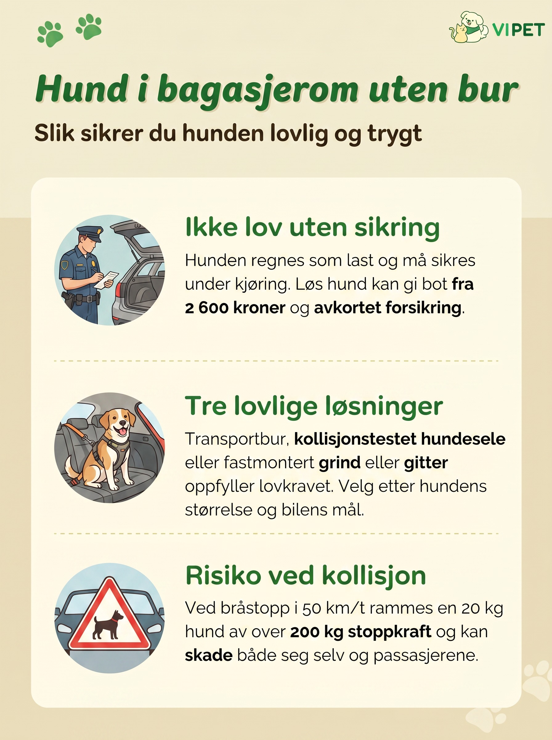 Infografikk som viser lovkrav, sikringsløsninger og kollisjonsrisiko for hund i bagasjerom uten bur.