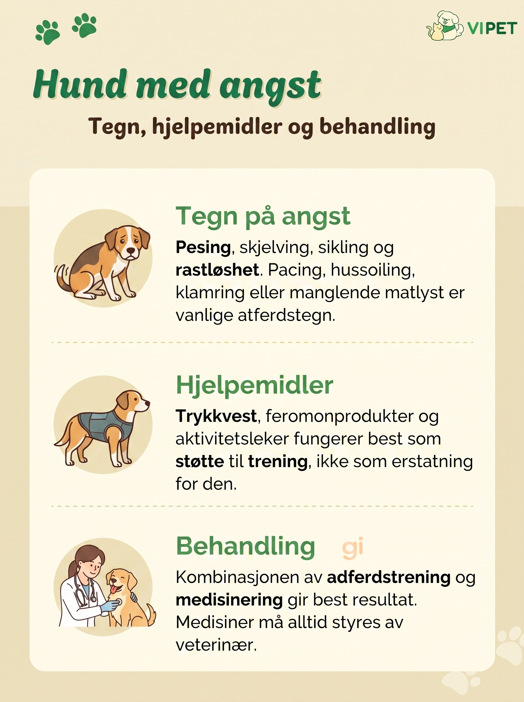 Infografikk om hund med angst med tegn, hjelpemidler og behandling