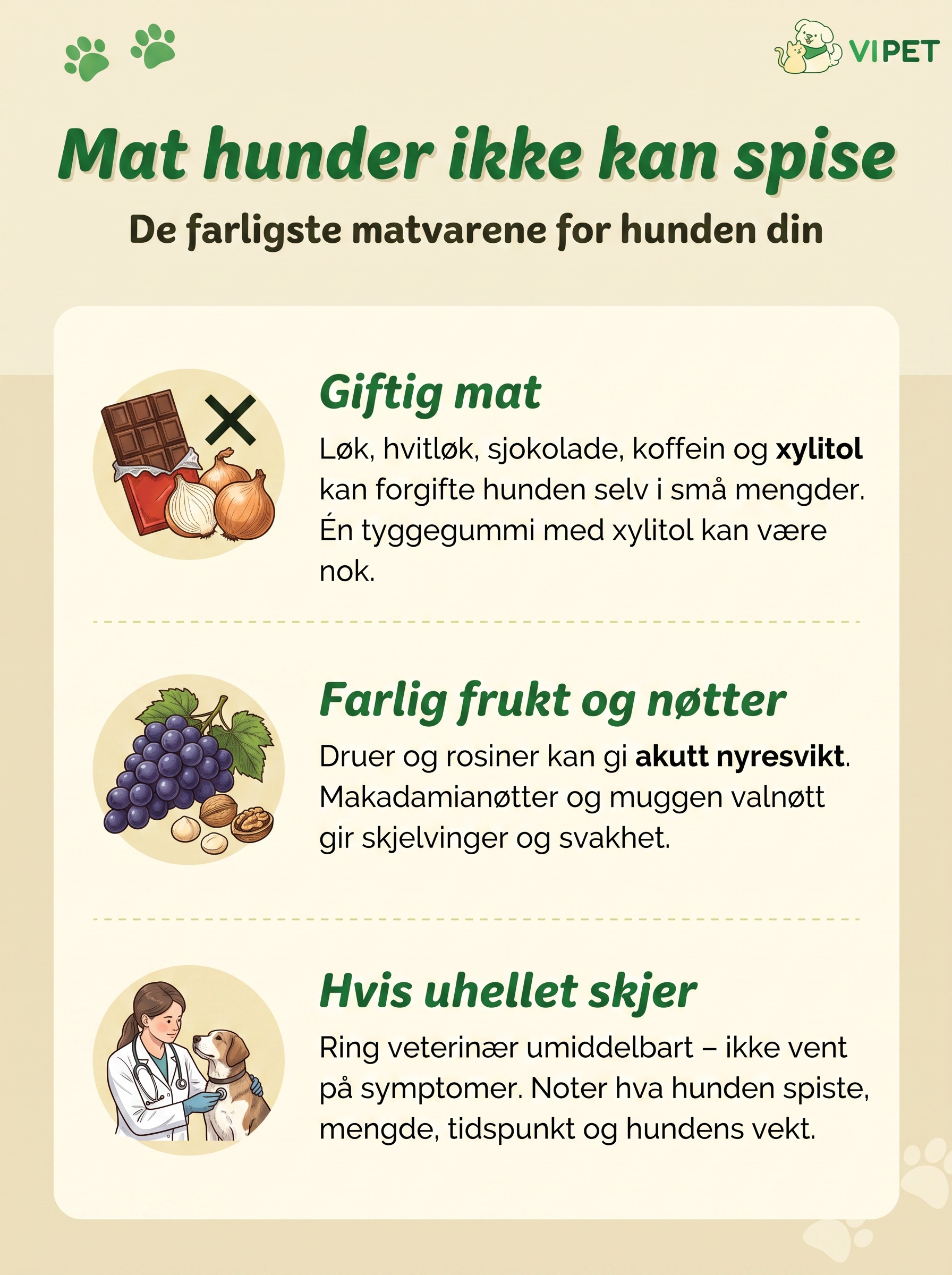Infografikk over giftig mat for hunder, farlig frukt og nøtter, og hva du gjør hvis hunden spiser noe giftig