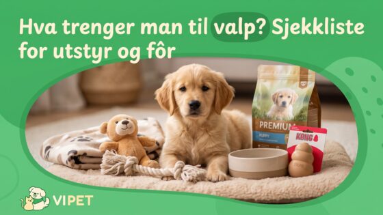 Hva trenger man til valp? Sjekkliste for utstyr og fôr
