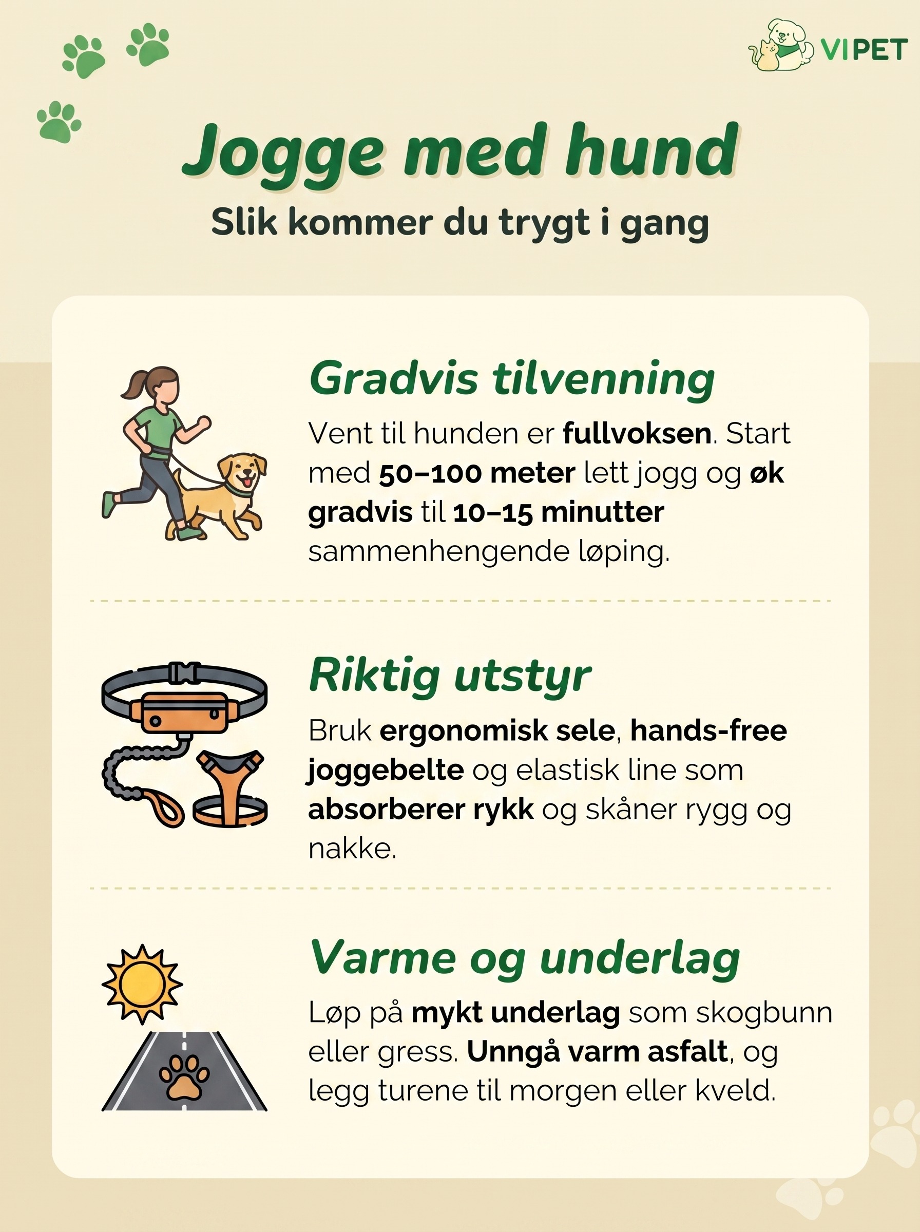 Infografikk om trygg jogging med hund: gradvis tilvenning, riktig utstyr og hensyn til varme og underlag.