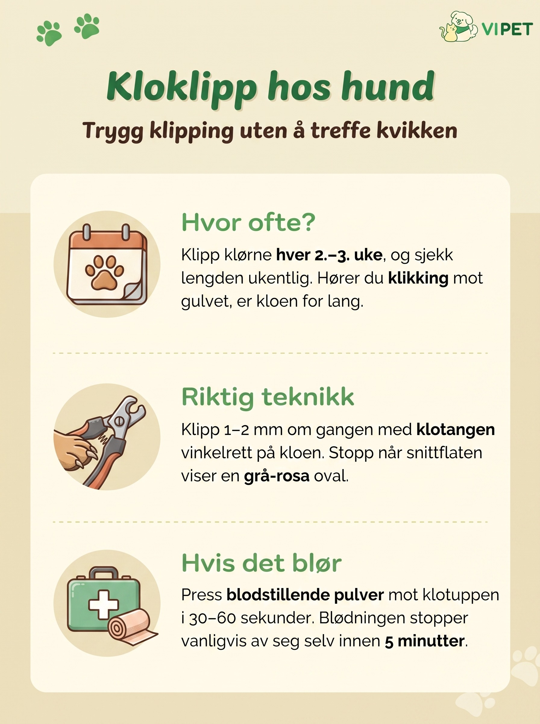 Infografikk om kloklipp hos hund: klippefrekvens, riktig teknikk og førstehjelp hvis kloen blør