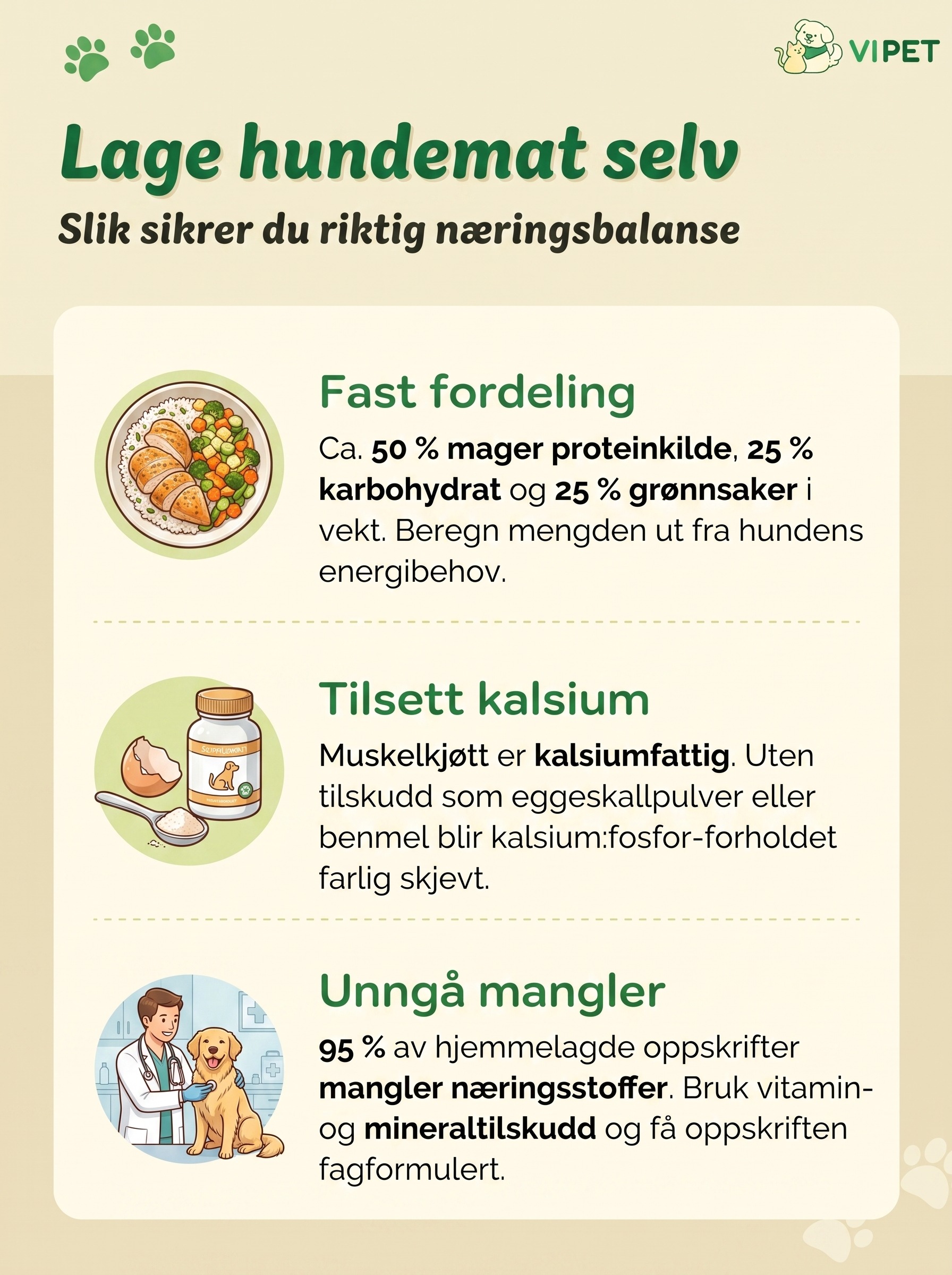 Infografikk om å lage hundemat selv: fast fordeling av ingredienser, kalsiumtilskudd og hvordan du unngår næringsmangler
