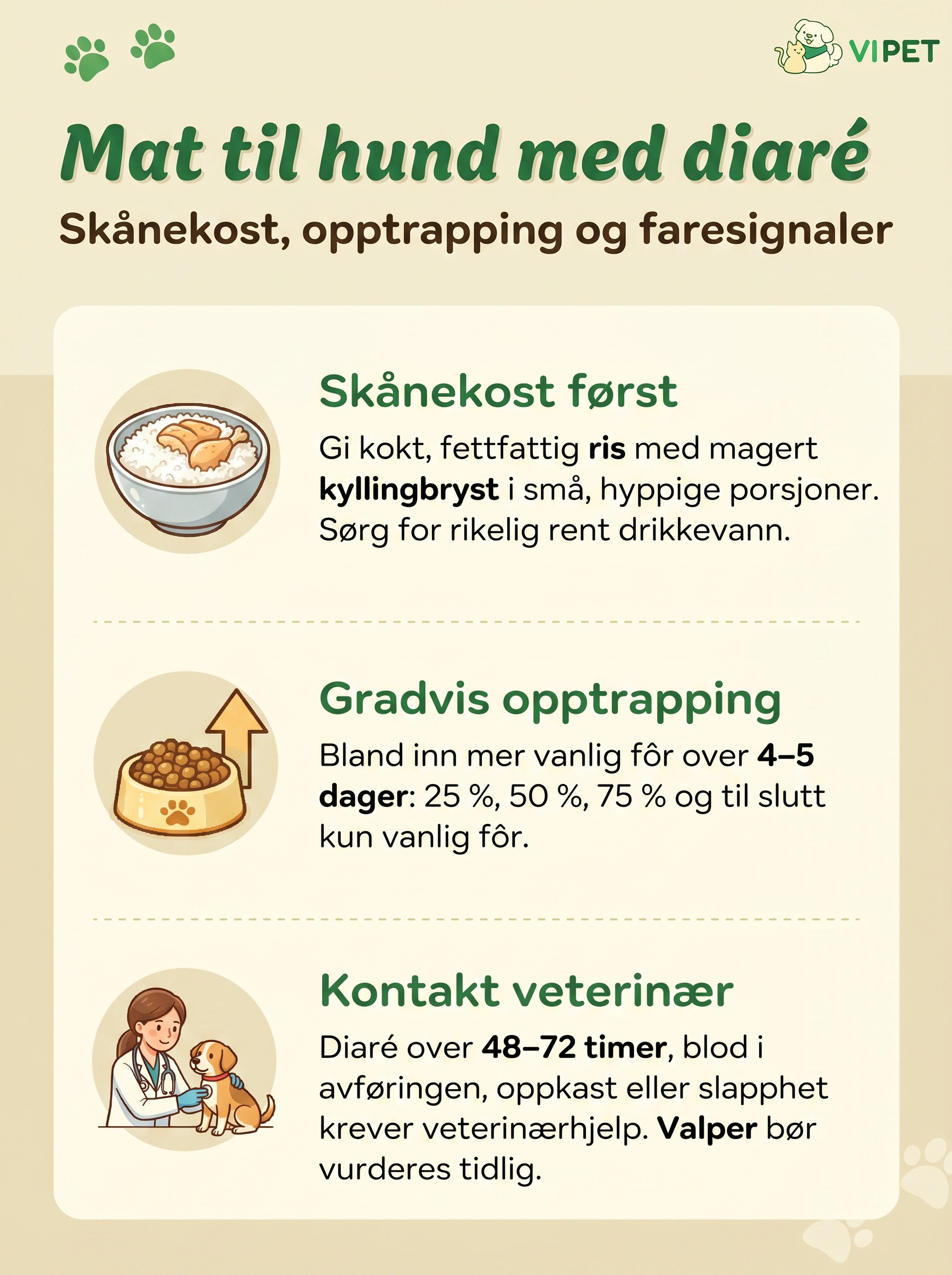 Infografikk om mat til hund med diaré: skånekost med ris og kylling, gradvis opptrapping og når veterinær bør kontaktes