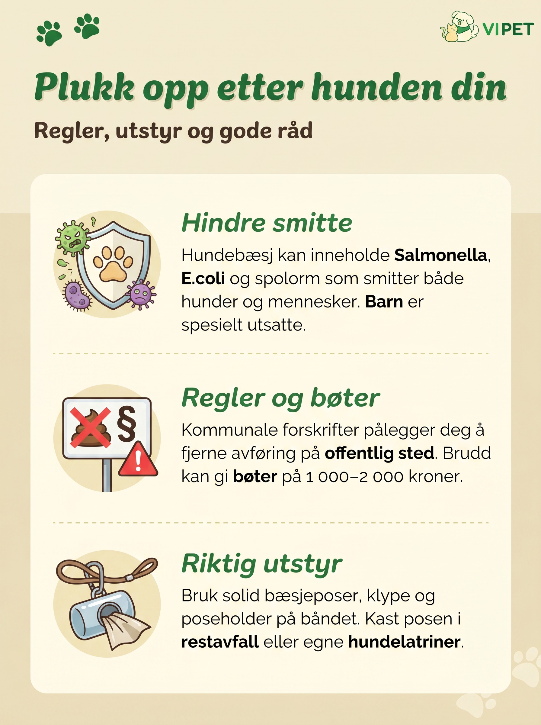 Infografikk om å plukke opp etter hunden: smittefare, regler med bøter og riktig utstyr