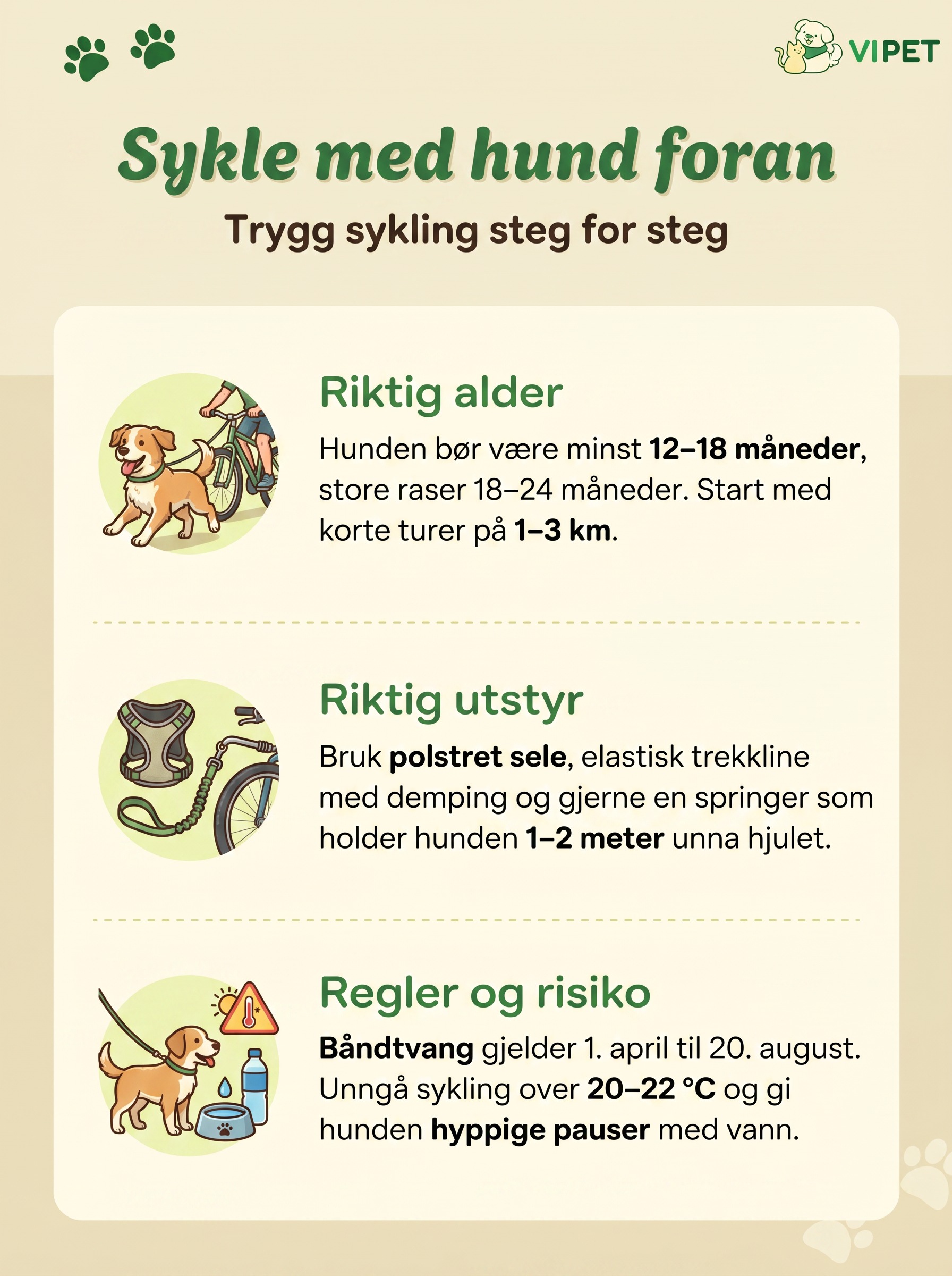 Infografikk om trygg sykling med hund foran: riktig alder, utstyr som sele og springer, samt båndtvang og risiko