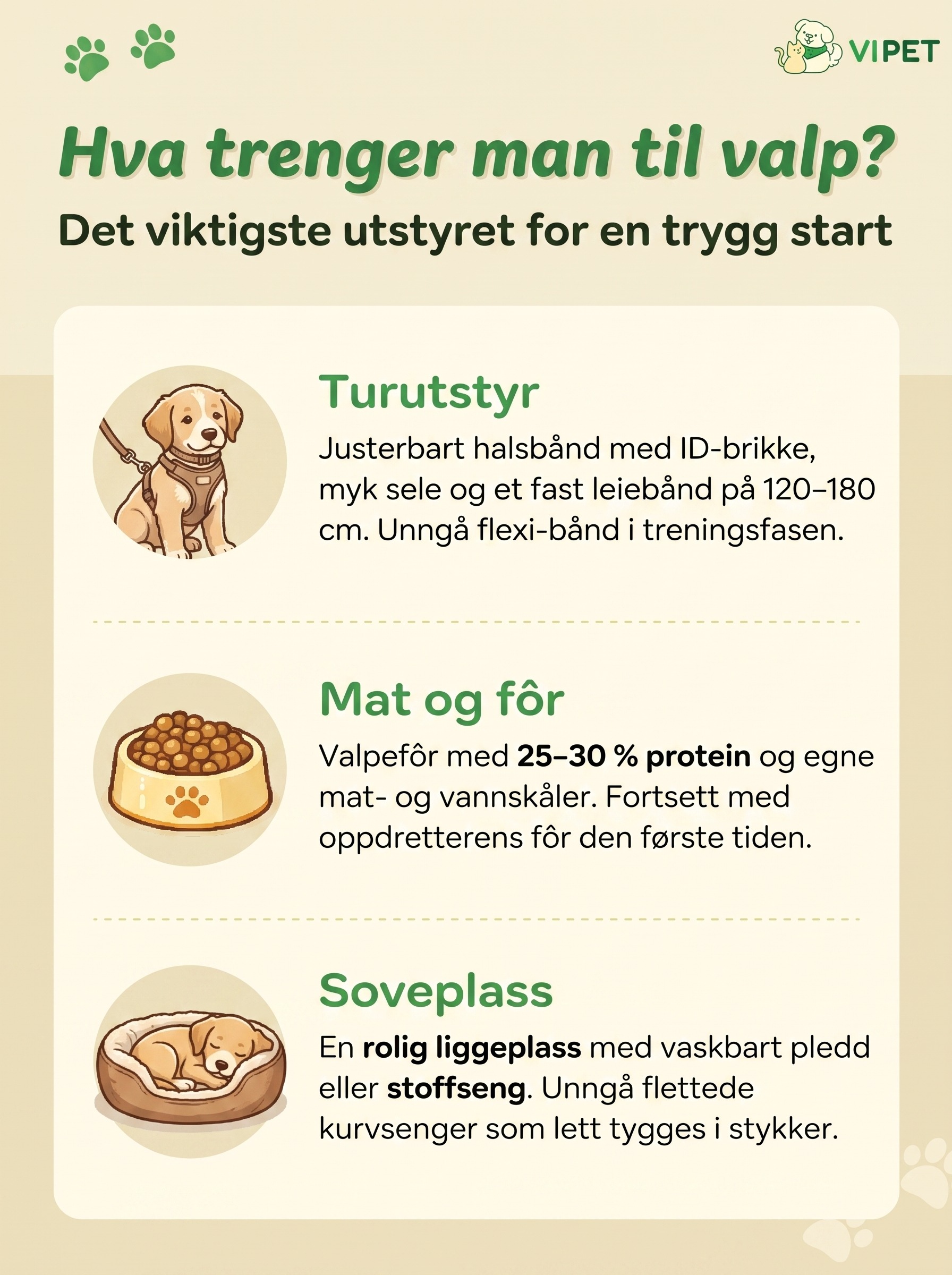 Infografikk som viser det viktigste utstyret til valp: turutstyr, valpefôr og trygg soveplass