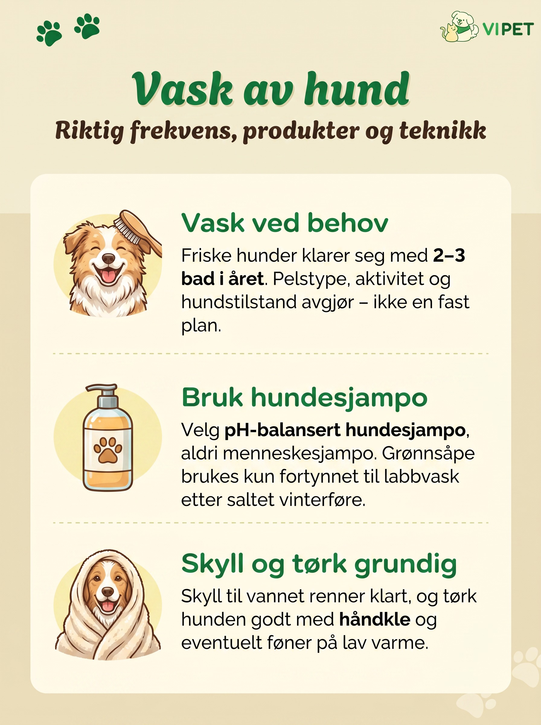 Infografikk med råd om badefrekvens, sjampovalg og tørking ved vask av hund.