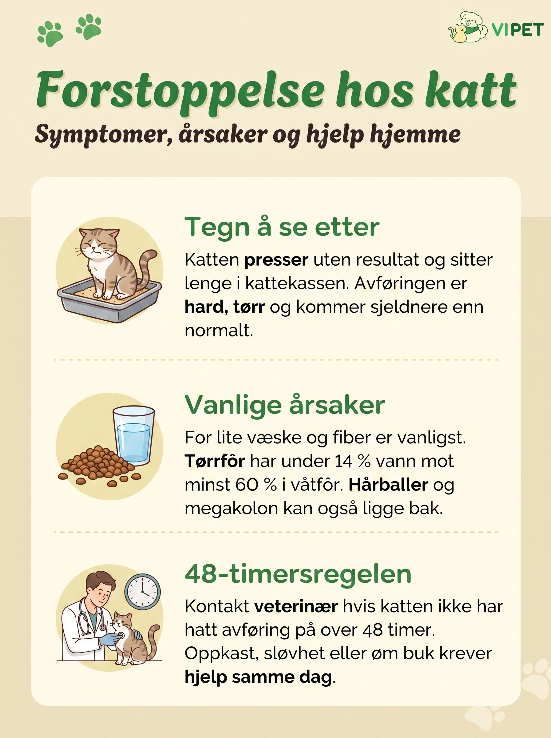 Infografikk om forstoppelse hos katt med symptomer, vanlige årsaker og 48-timersregelen