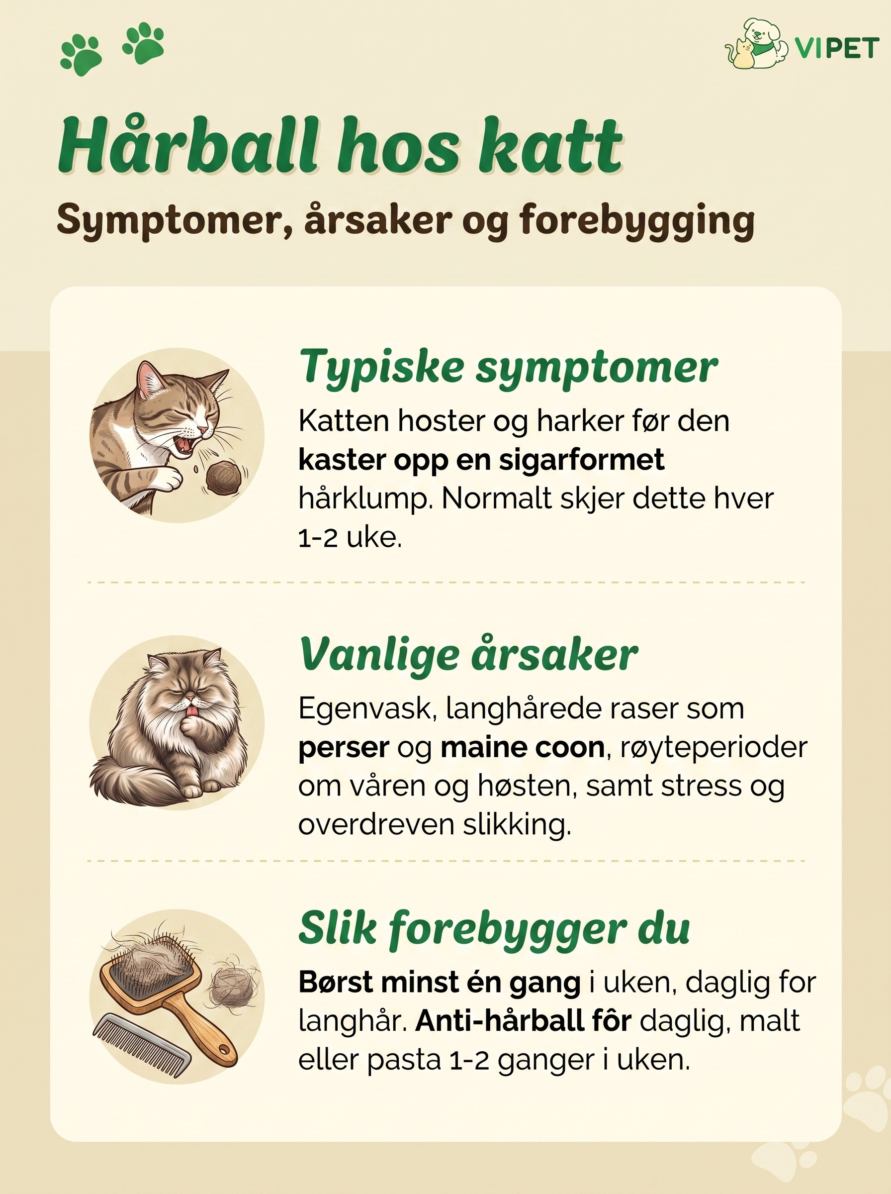 Infografikk om hårball hos katt: typiske symptomer, vanlige årsaker og hvordan du forebygger med børsting og fôr