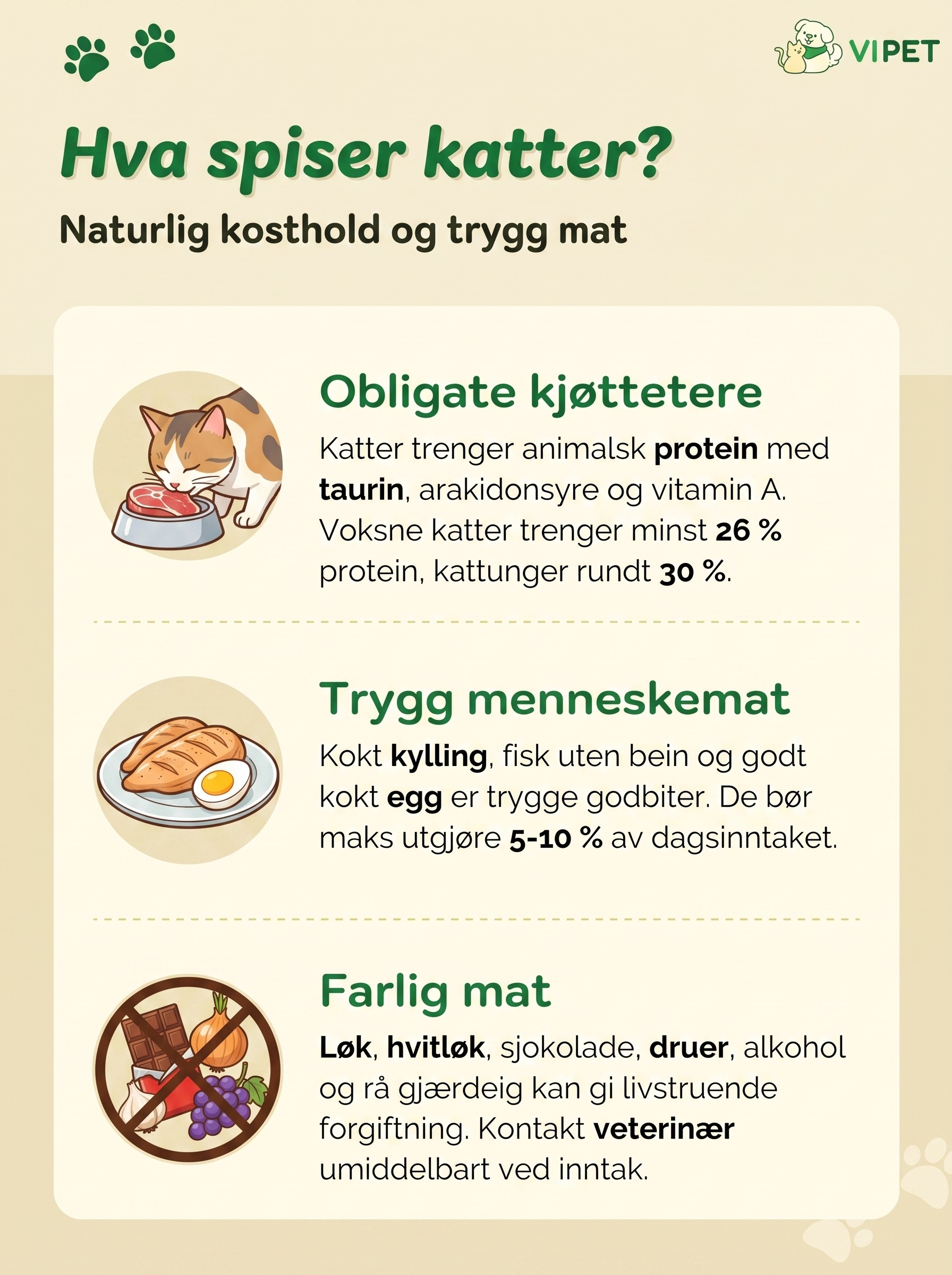 Infografikk om hva katter spiser: naturlig kjøttbasert kosthold, trygg menneskemat og farlige matvarer