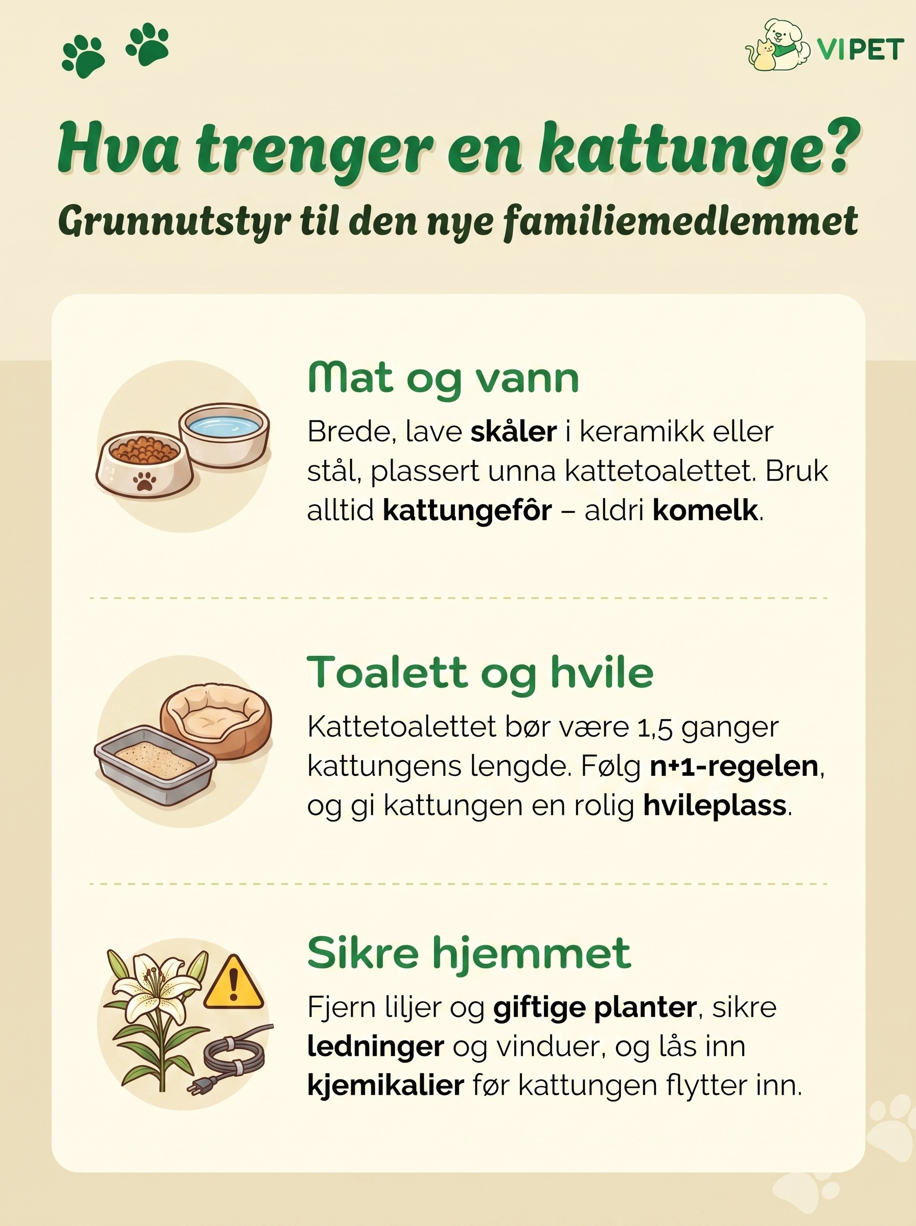 Infografikk med sjekkliste over hva en kattunge trenger: mat og vann, kattetoalett og hvileplass, og et sikret hjem.