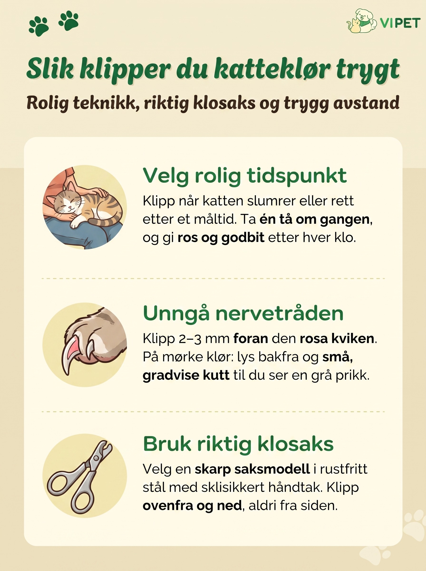 Infografikk som viser tre steg for å klippe katteklør trygt uten å treffe nervetråden