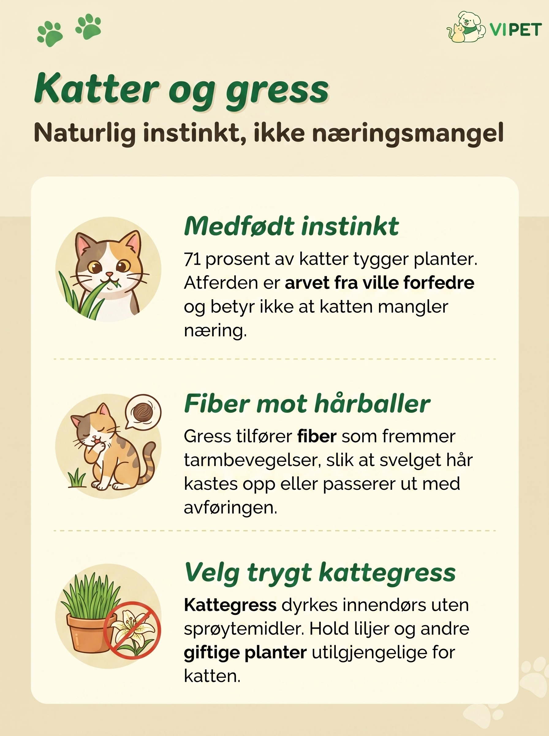 Infografikk som forklarer hvorfor katter spiser gress: naturlig instinkt, fiber mot hårballer og trygt kattegress
