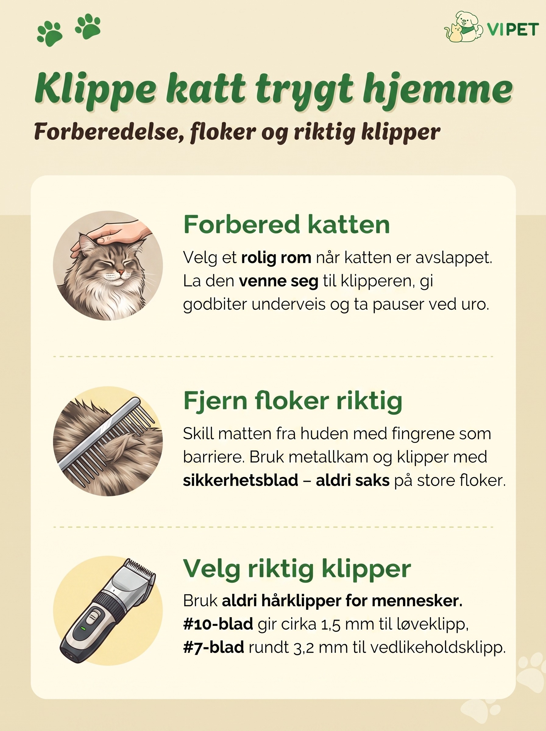 Infografikk som viser tre steg for å klippe katt trygt med barbermaskin hjemme