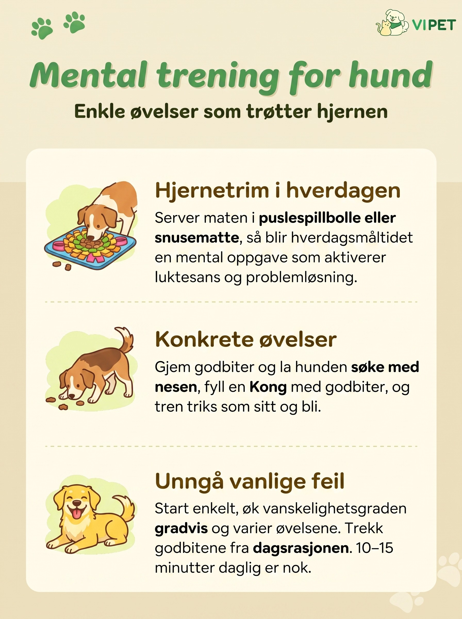 Infografikk med øvelser, hjernetrim-tips og vanlige feil ved mental trening av hund