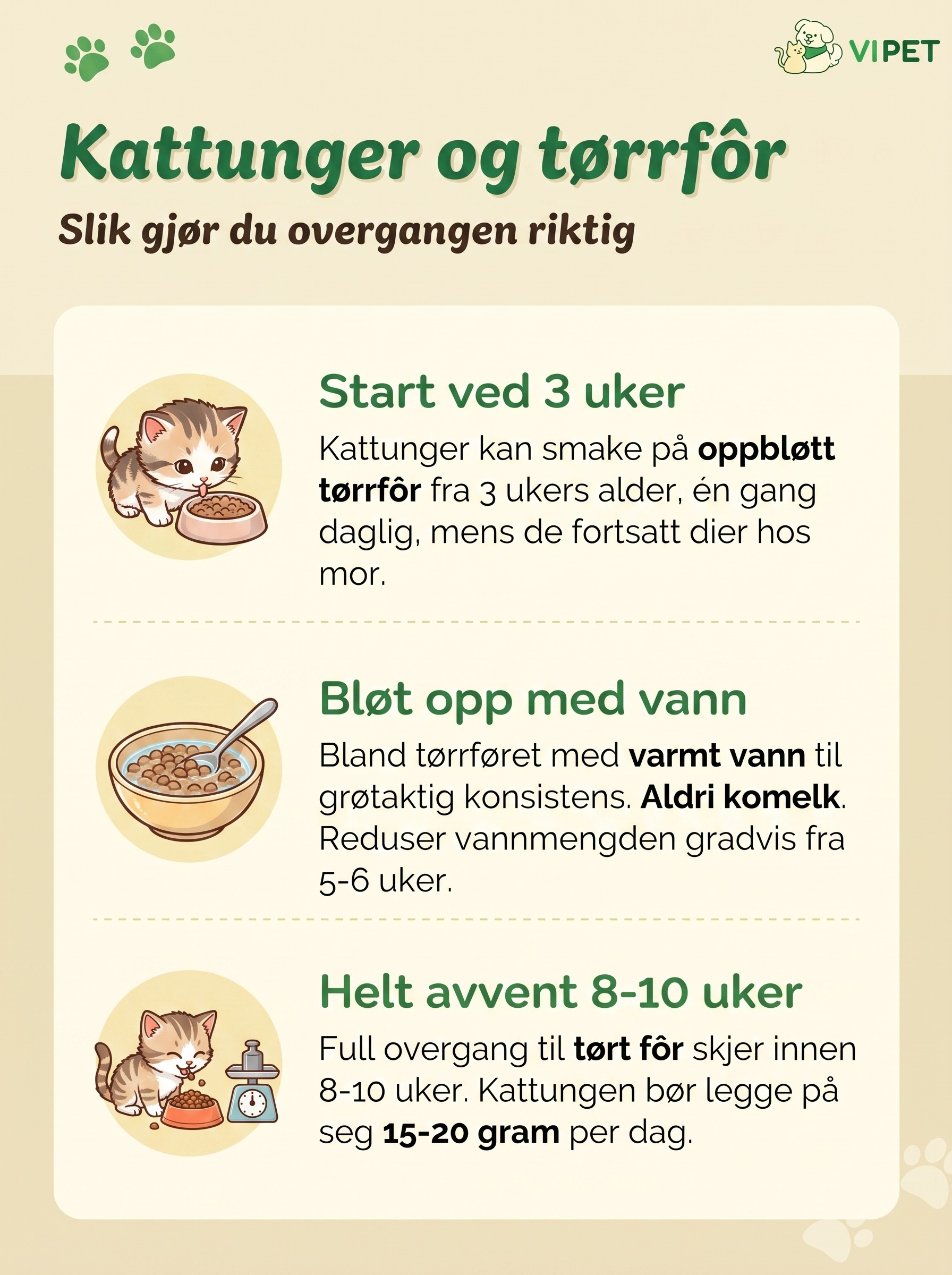 Infografikk som viser når kattunger kan spise tørrfôr, fra oppbløtt fôr ved 3 uker til full avvenning ved 8-10 uker