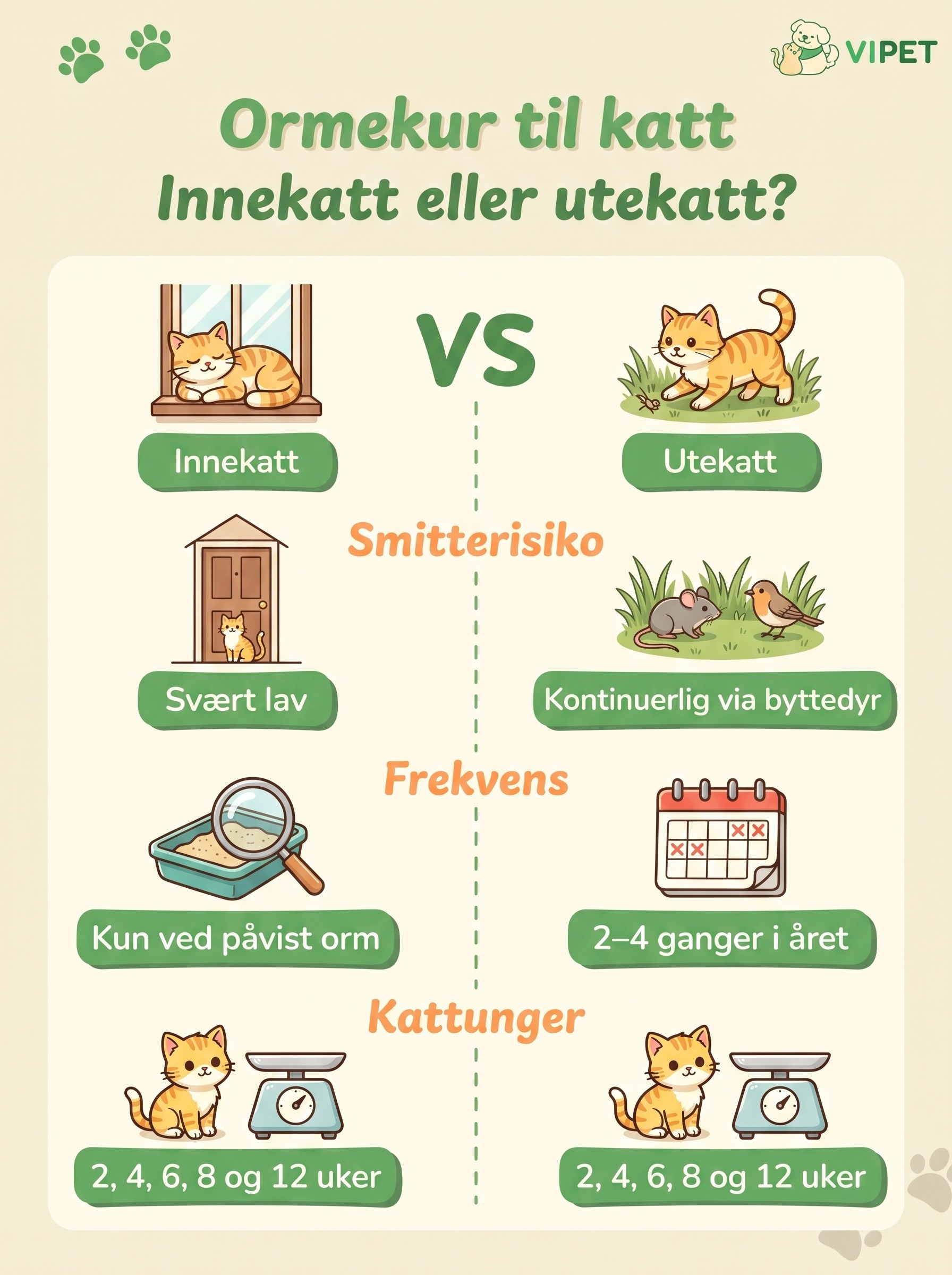 Infografikk som sammenligner hvor ofte innekatt og utekatt trenger ormekur, med smitterisiko, frekvens og plan for kattunger