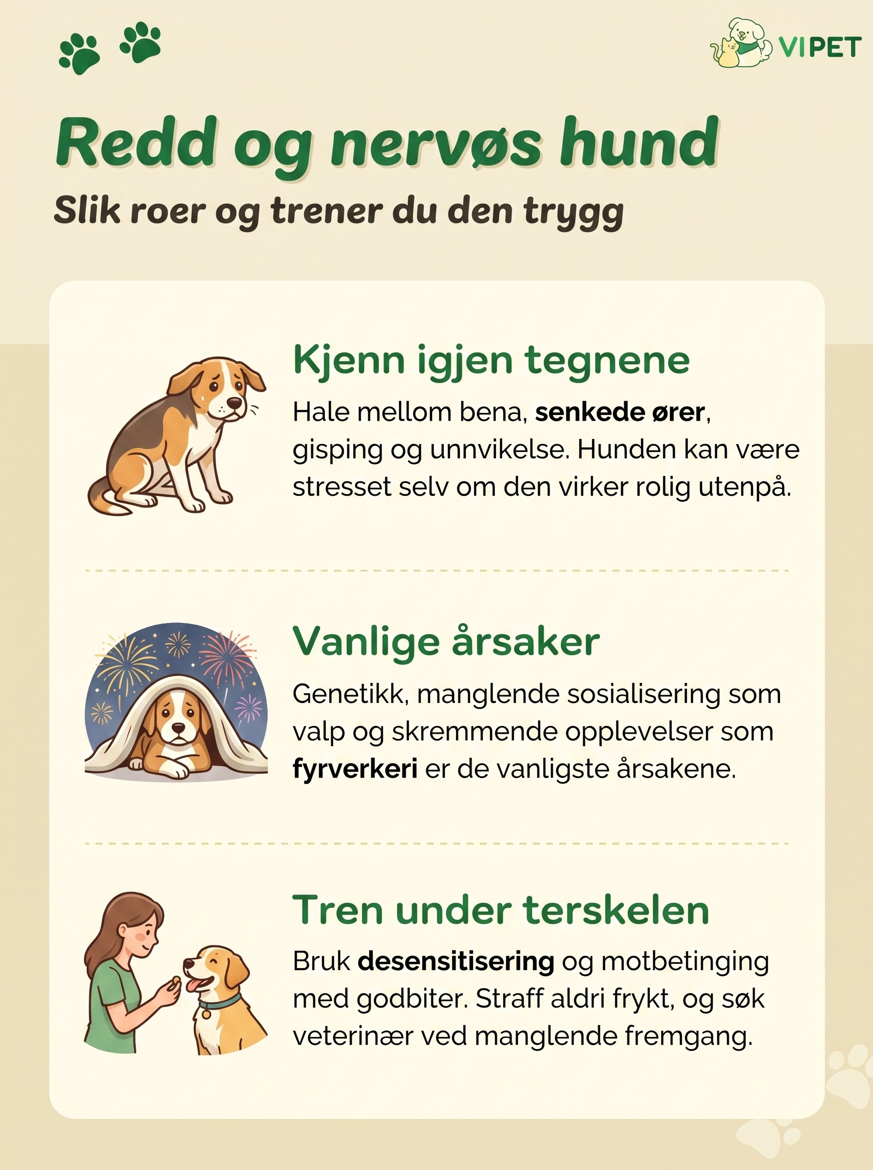 Infografikk om redd og nervøs hund: vanlige tegn, årsaker og hvordan du trener hunden trygg