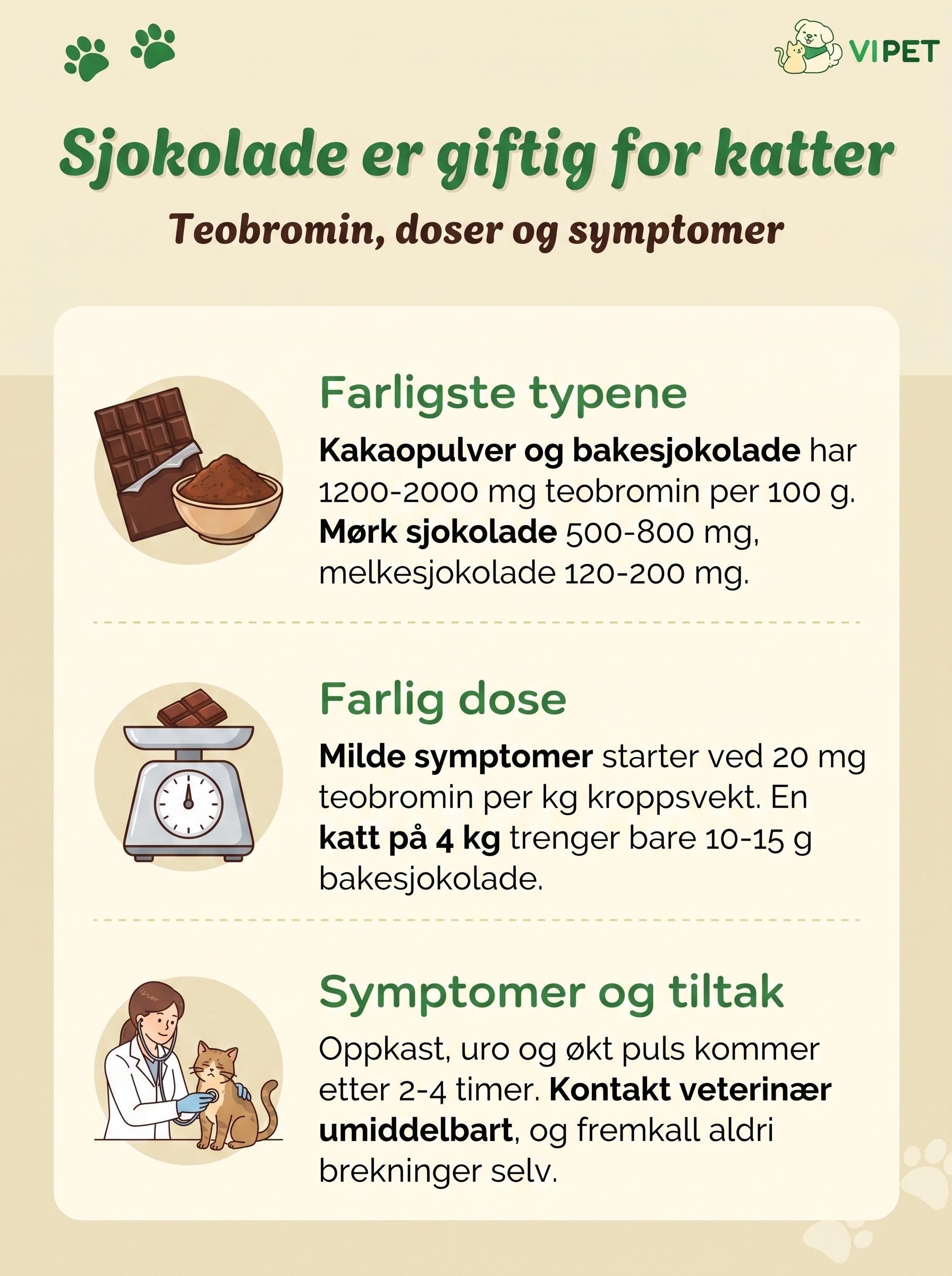 Infografikk om sjokolade og katter: teobromininnhold i ulike sjokoladetyper, farlig dose og symptomer på forgiftning