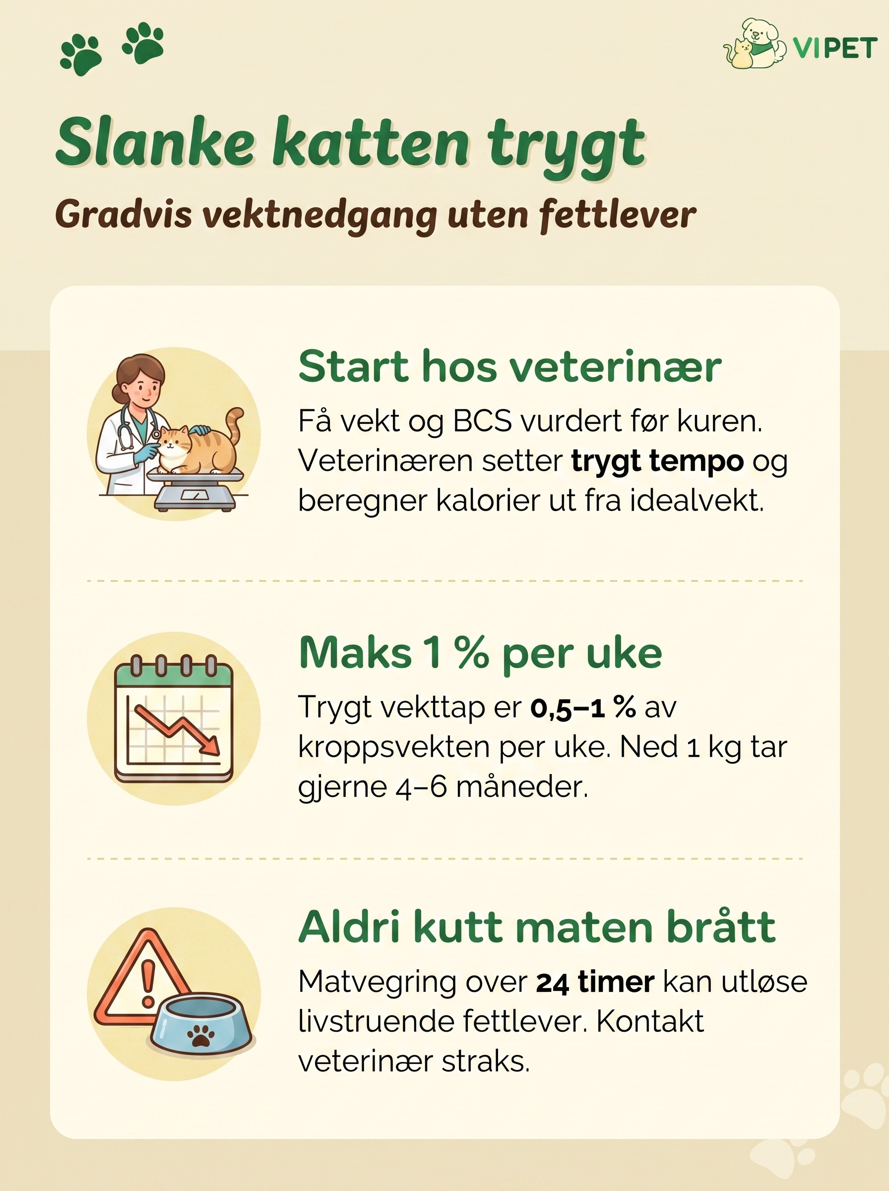 Infografikk om å slanke katt trygt: start hos veterinær, maks 1 % vekttap per uke og aldri kutt maten brått.