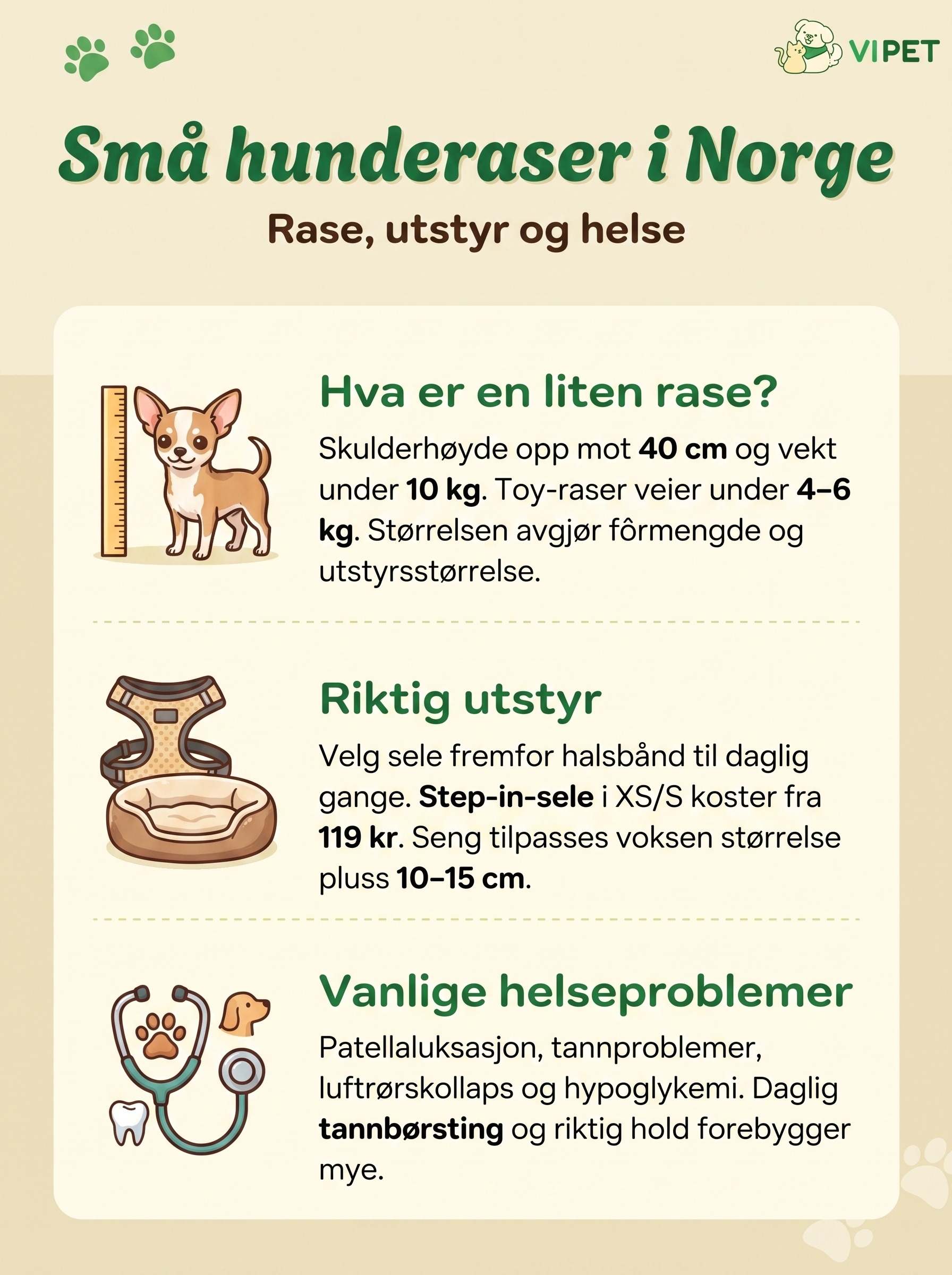 Infografikk om små hunderaser i Norge med størrelse, anbefalt utstyr og vanlige helseproblemer