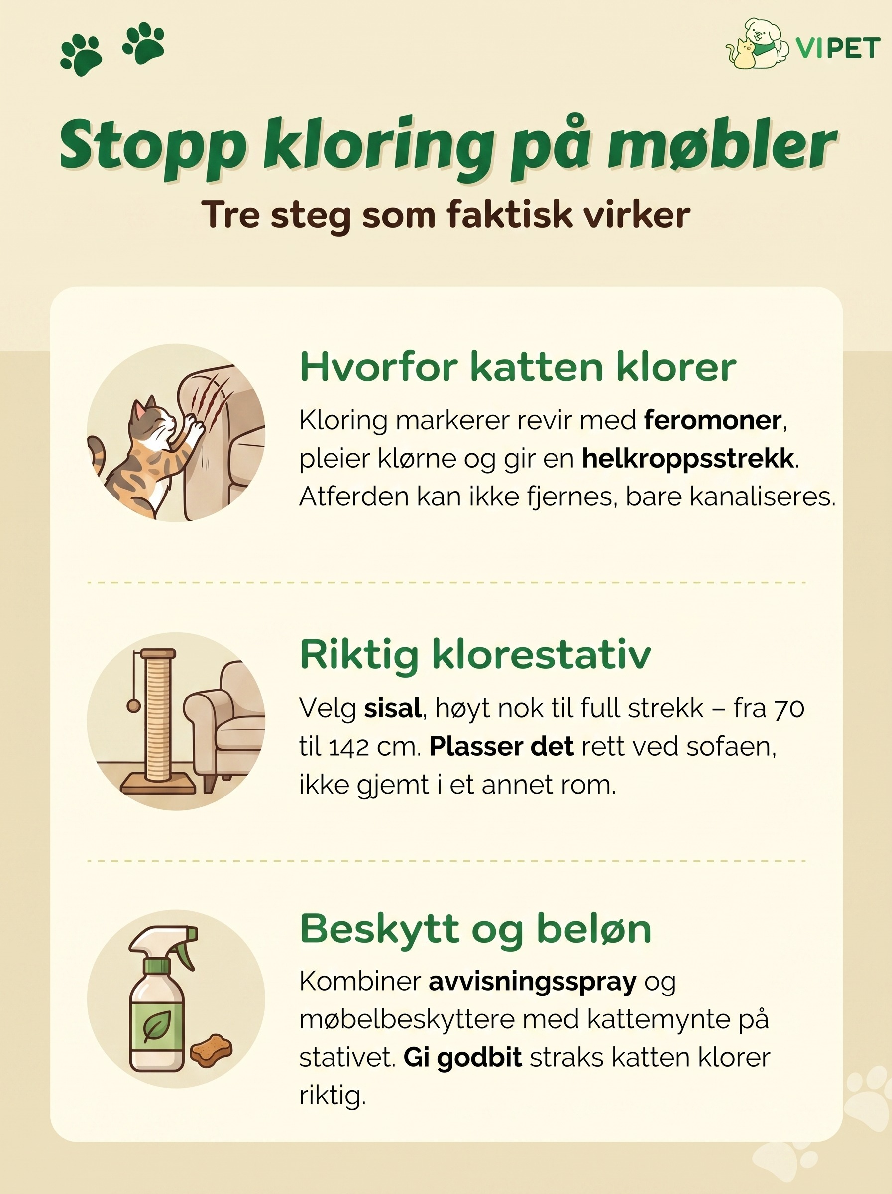 Tre steg for å stoppe katten fra å klore på møbler: årsak, klorestativ og beskyttelse