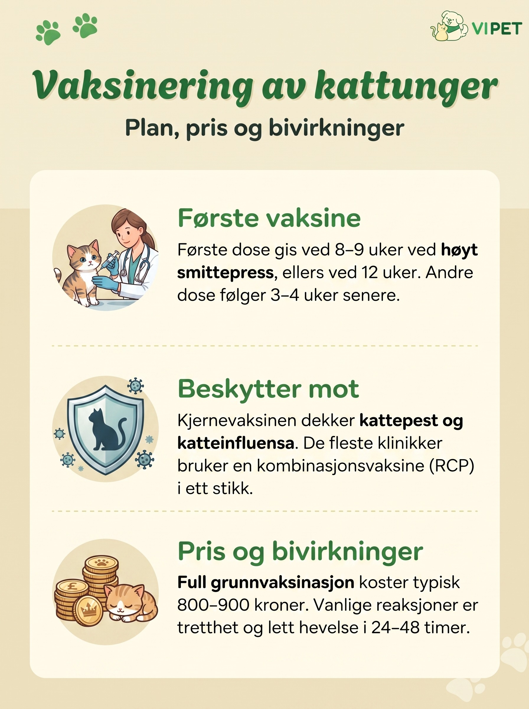 Infografikk om vaksinering av kattunger: når første vaksine gis, hvilke sykdommer den beskytter mot, pris og bivirkninger