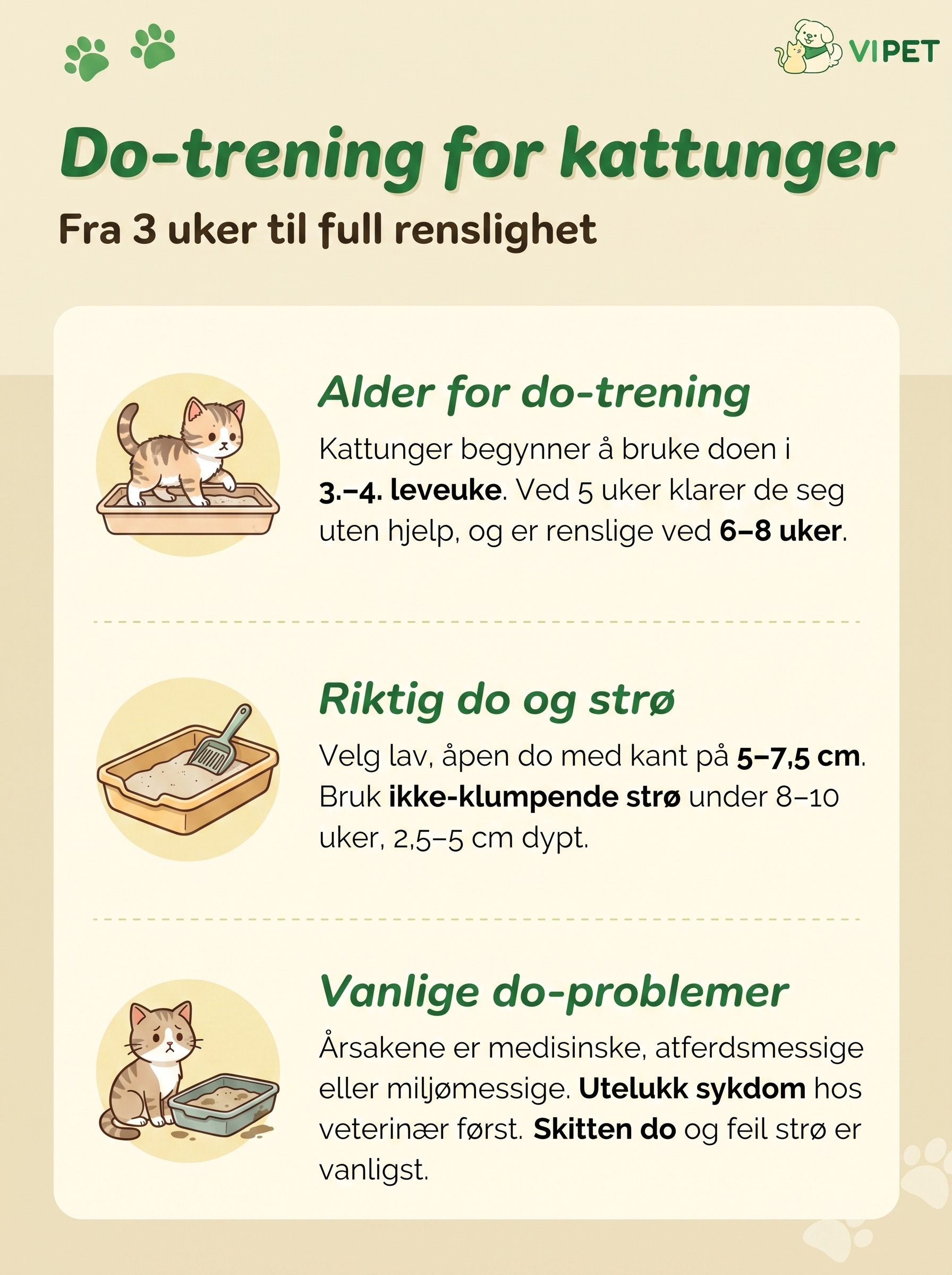 Infografikk om do-trening for kattunger: alder, riktig kattedo og strø, og vanlige årsaker til do-problemer