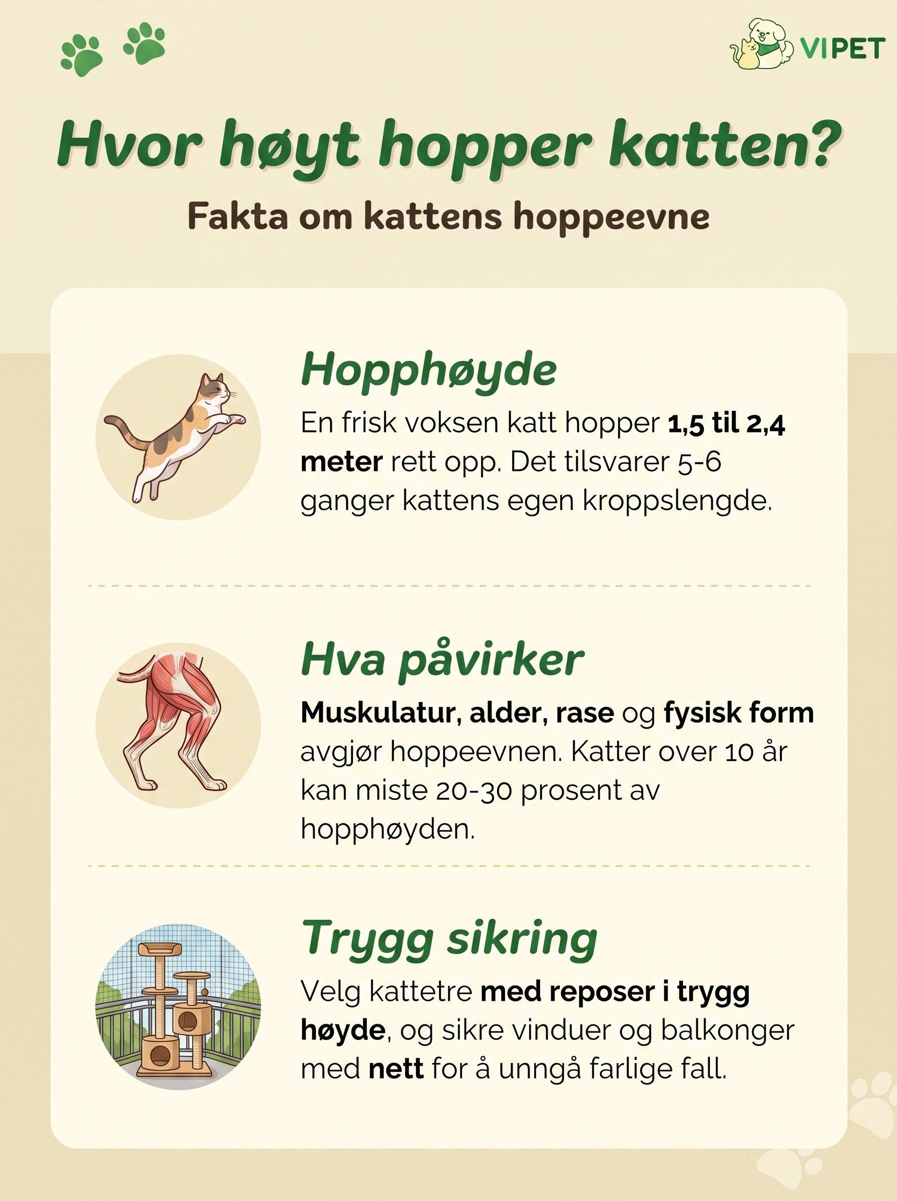 Infografikk som viser hvor høyt en katt kan hoppe, hva som påvirker hoppeevnen og hvordan du sikrer hjemmet