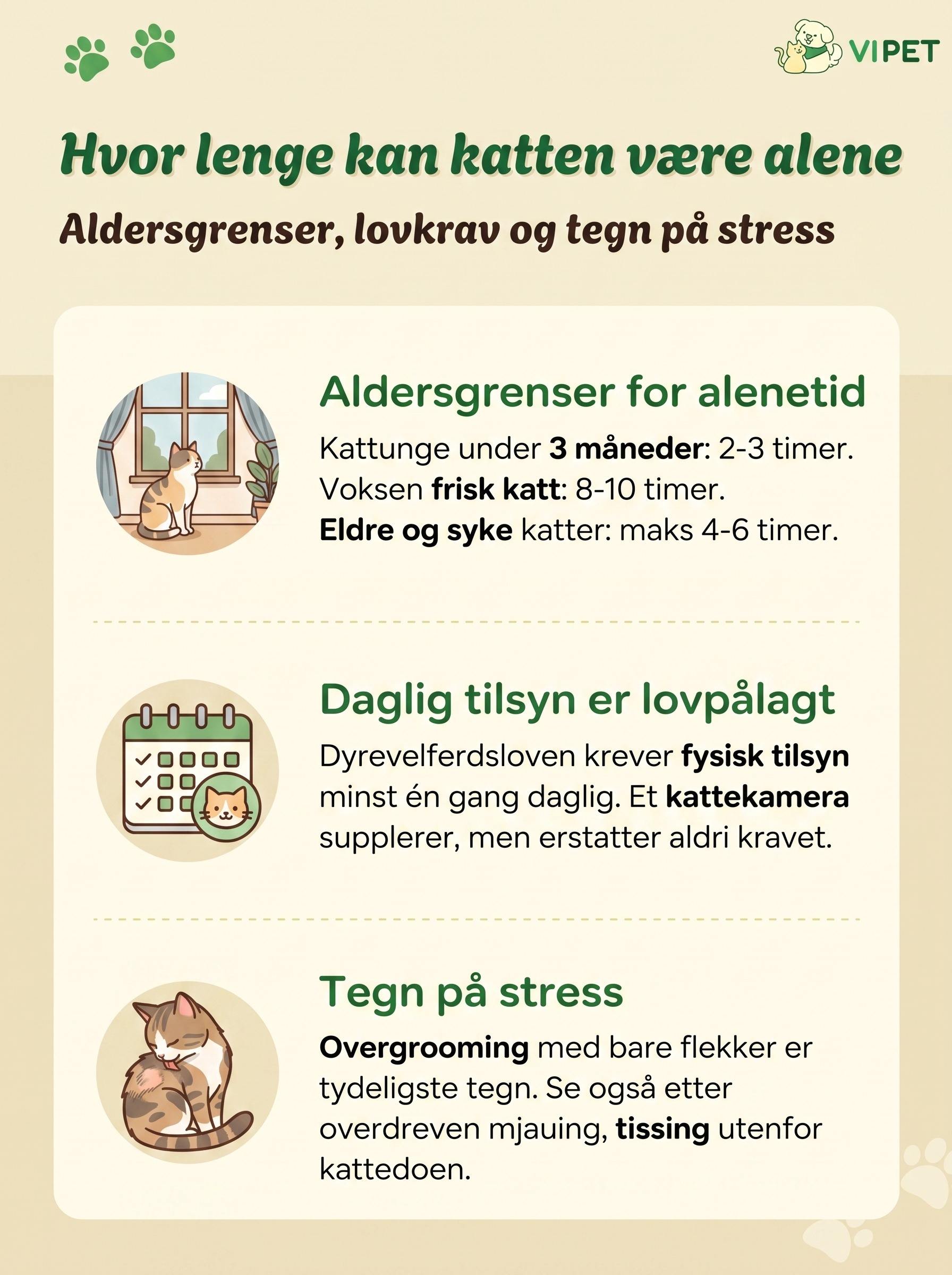 Infografikk om hvor lenge katter kan være alene: aldersgrenser, krav om daglig tilsyn og tegn på stress.