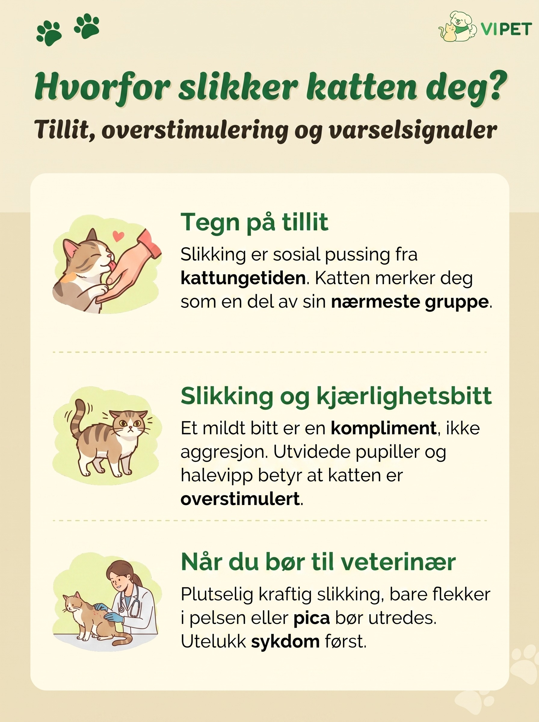 Infografikk som forklarer hvorfor katten slikker deg, når det er overstimulering og når du bør til veterinær