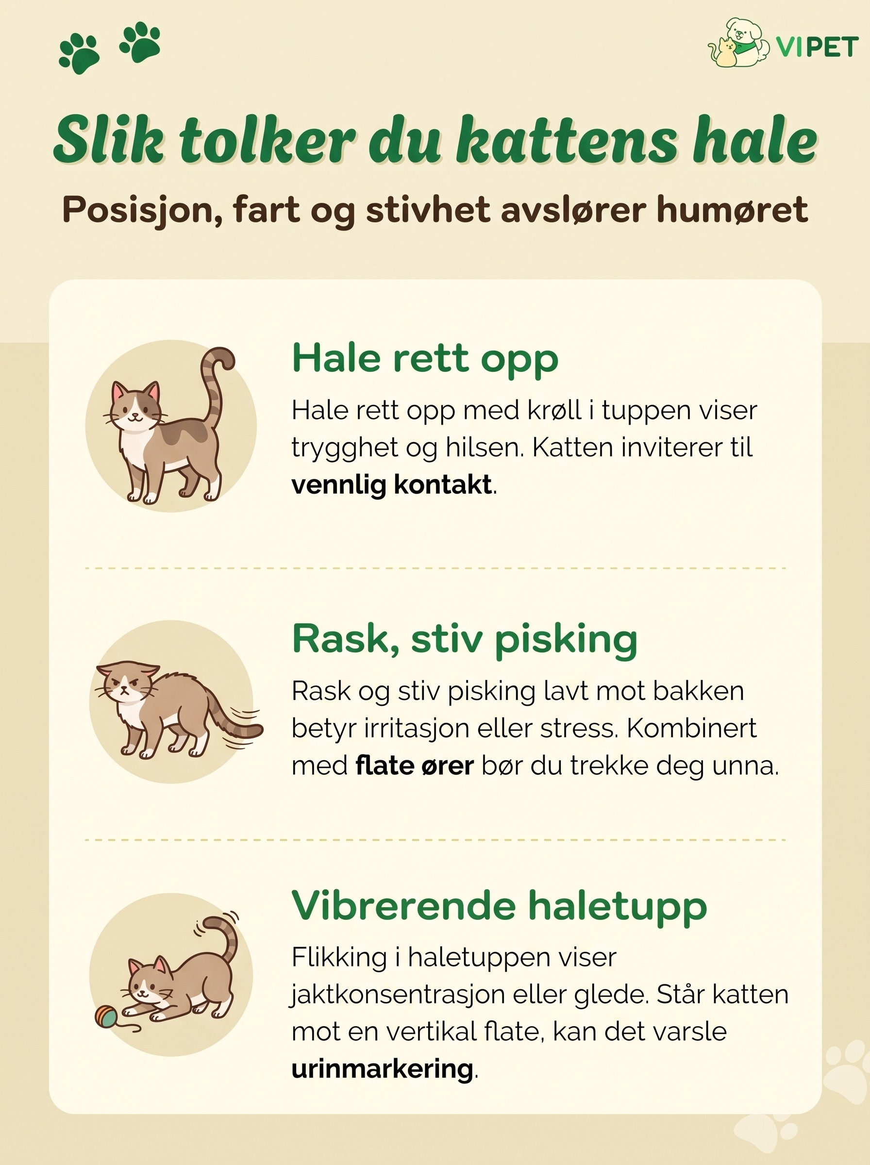 Infografikk som viser hva kattens halesignaler betyr: hale opp, rask pisking og vibrerende haletupp