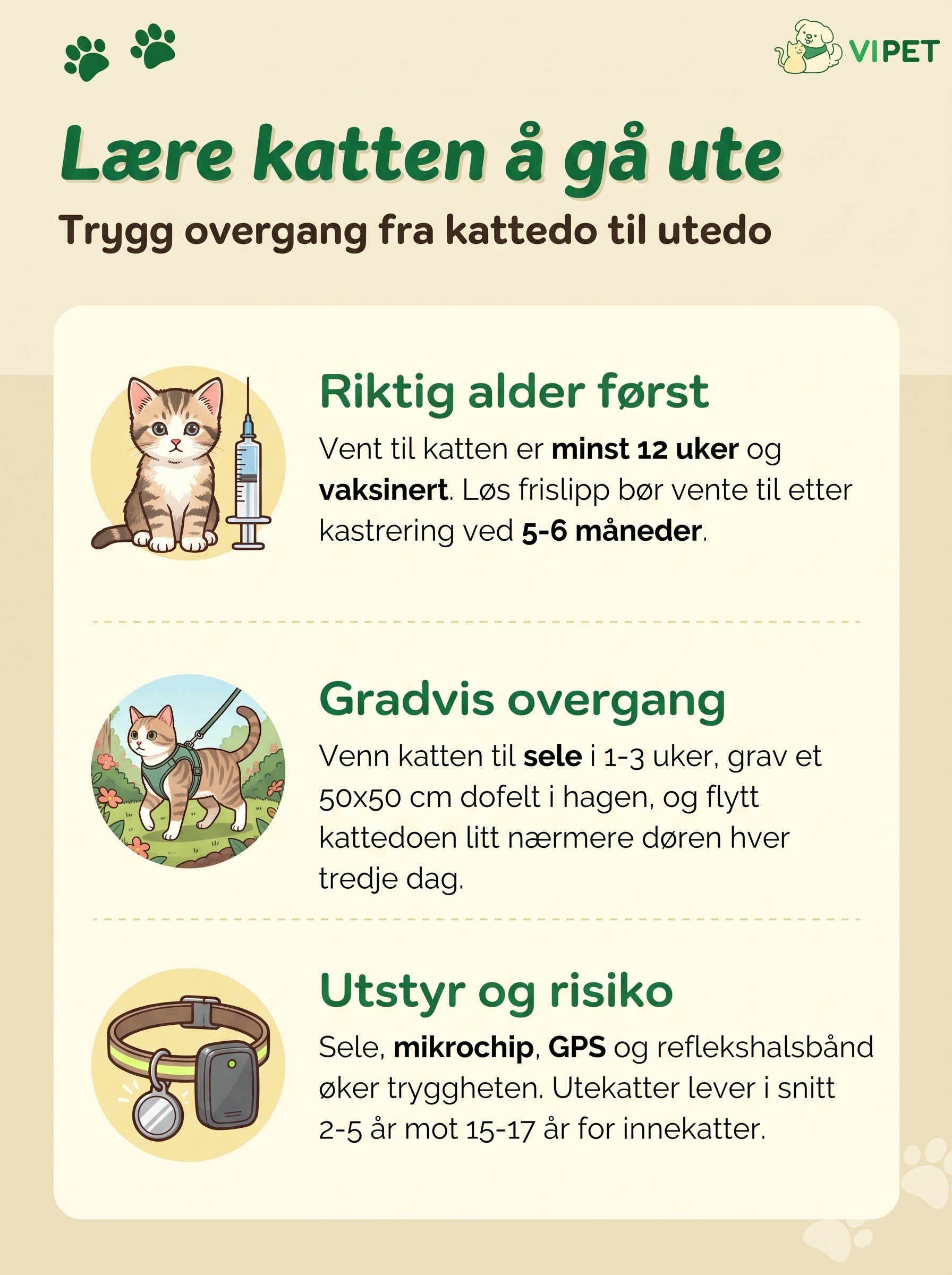Infografikk som viser riktig alder, gradvis overgang til utedo og nødvendig utstyr for katt som skal gå ute.